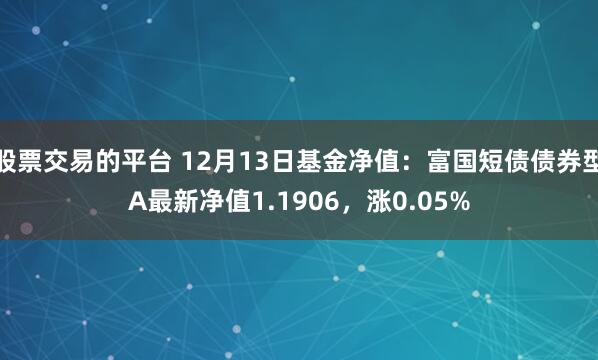 股票交易的平台 12月13日基金净值：富国短债债券型A最新净值1.1906，涨0.05%