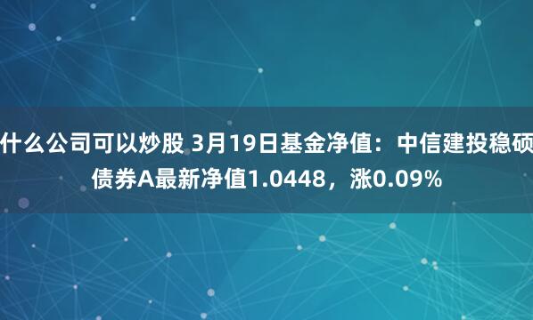 什么公司可以炒股 3月19日基金净值：中信建投稳硕债券A最新净值1.0448，涨0.09%