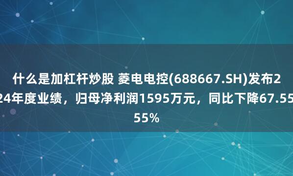 什么是加杠杆炒股 菱电电控(688667.SH)发布2024年度业绩，归母净利润1595万元，同比下降67.55%