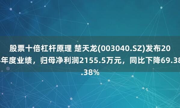 股票十倍杠杆原理 楚天龙(003040.SZ)发布2024年度业绩，归母净利润2155.5万元，同比下降69.38%
