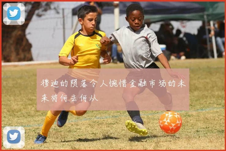 穆迪的陨落令人惋惜金融市场的未来将何去何从