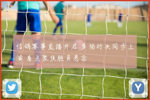 信鸽赛事直播开启 多场对决同步上演 看点聚焦胜负悬念